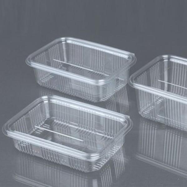 Disposable Hinged Food Container + Lid - 2000ml (Rectangle) Transparent