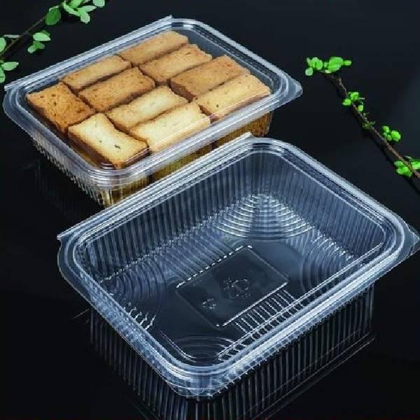 Disposable Hinged Food Container + Lid - 1250ml (Rectangle) Transparent