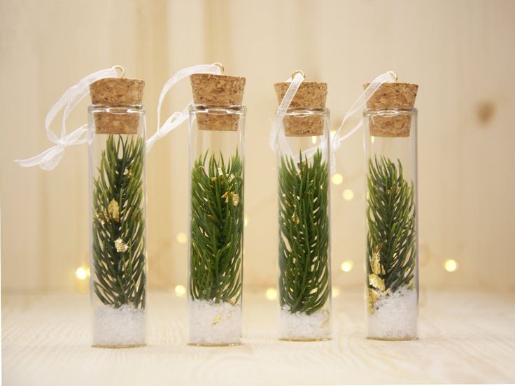 Flat Bottom Glass Test Tube with Wooden Cork (All Sizes)