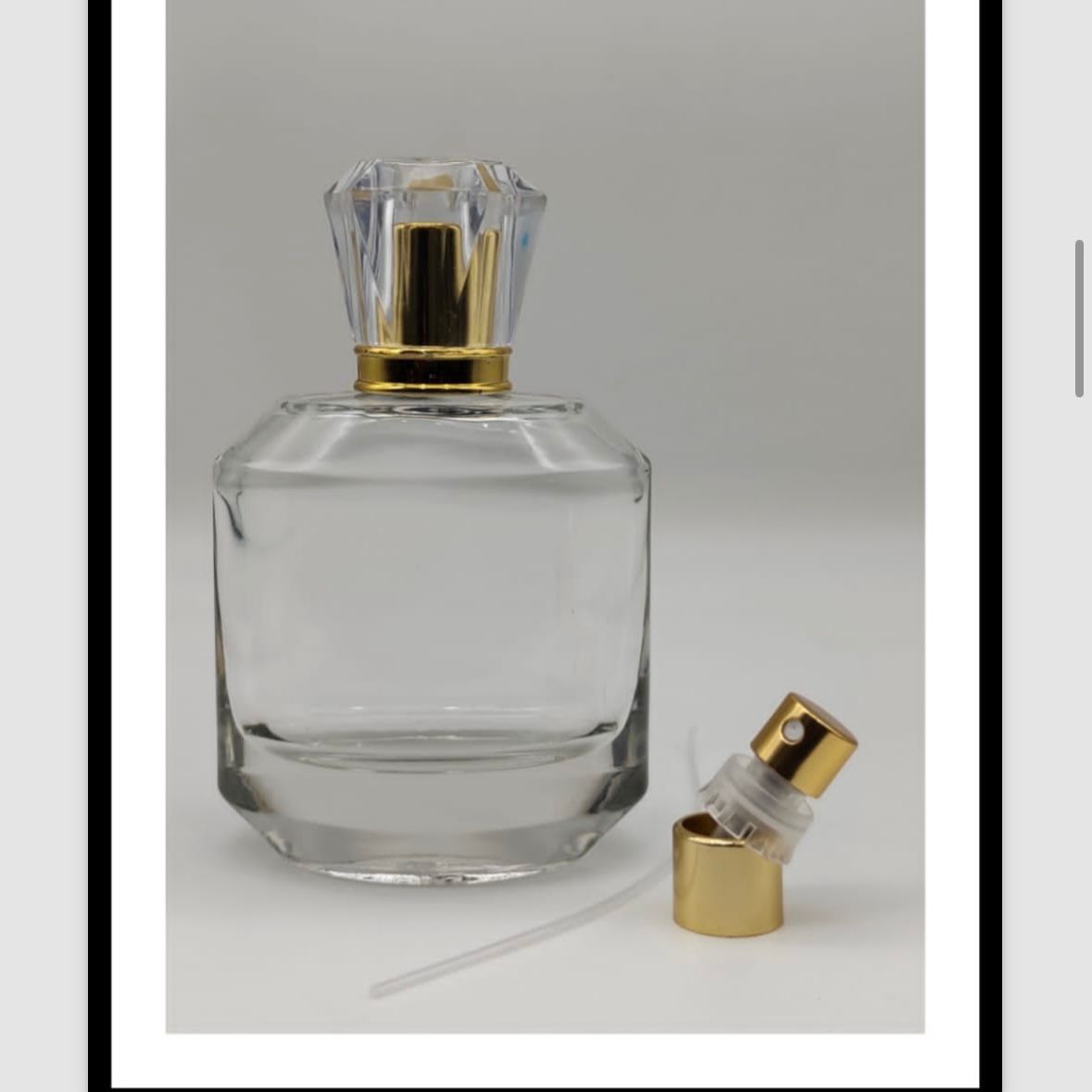 100ml Rembrandt