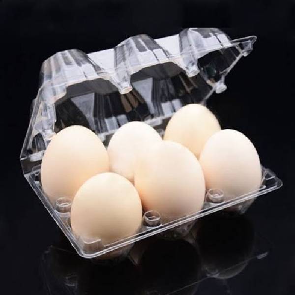 Disposable Hinged Egg Tray - 6pcs (Rectangle) Transparent
