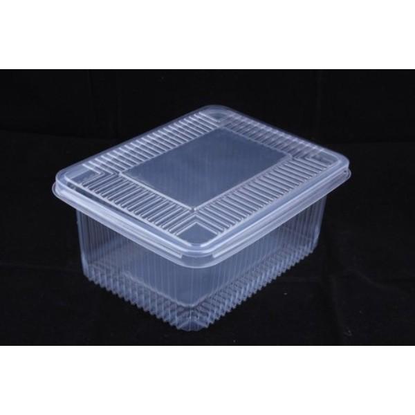 Disposable Hinged Food Container + Lid - 2000ml (Rectangle) Transparent