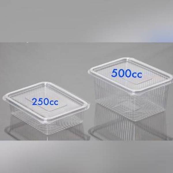 Disposable Hinged Food Container + Lid - 500ml (Rectangle) Transparent
