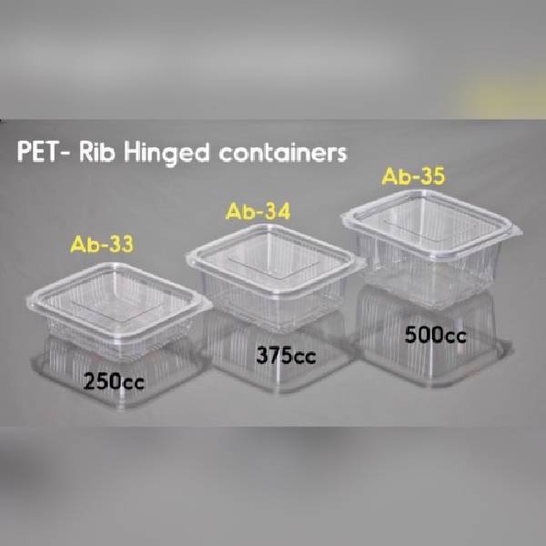 Disposable Hinged Rib Food Container + Lid - 375ml (Rectangle) Transparent