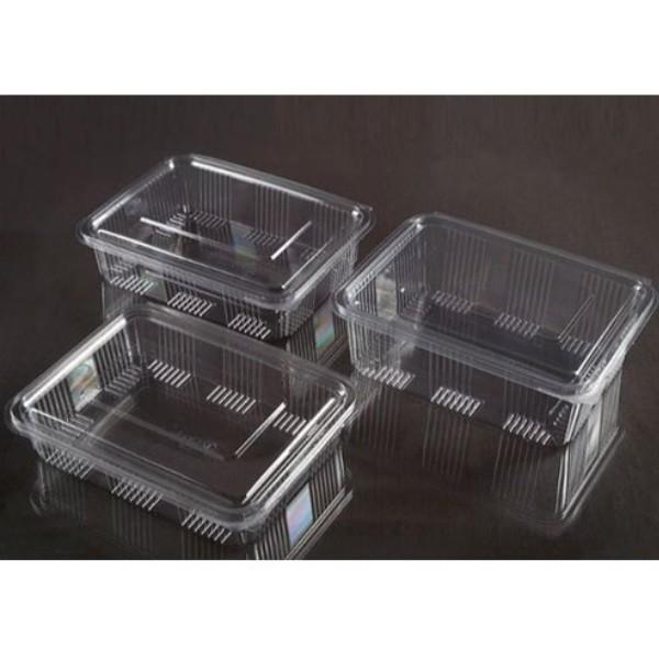 Disposable Pet Super Food Container + Lid - 200g (Square) Transparent